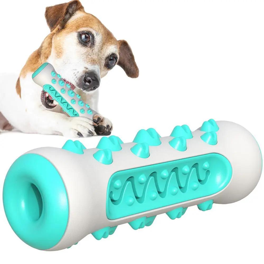 Dog Squeaky Toy For Aggressive Chewers, Tough Toothbrush Dog | Electronic Learning Toys - AllvueCo