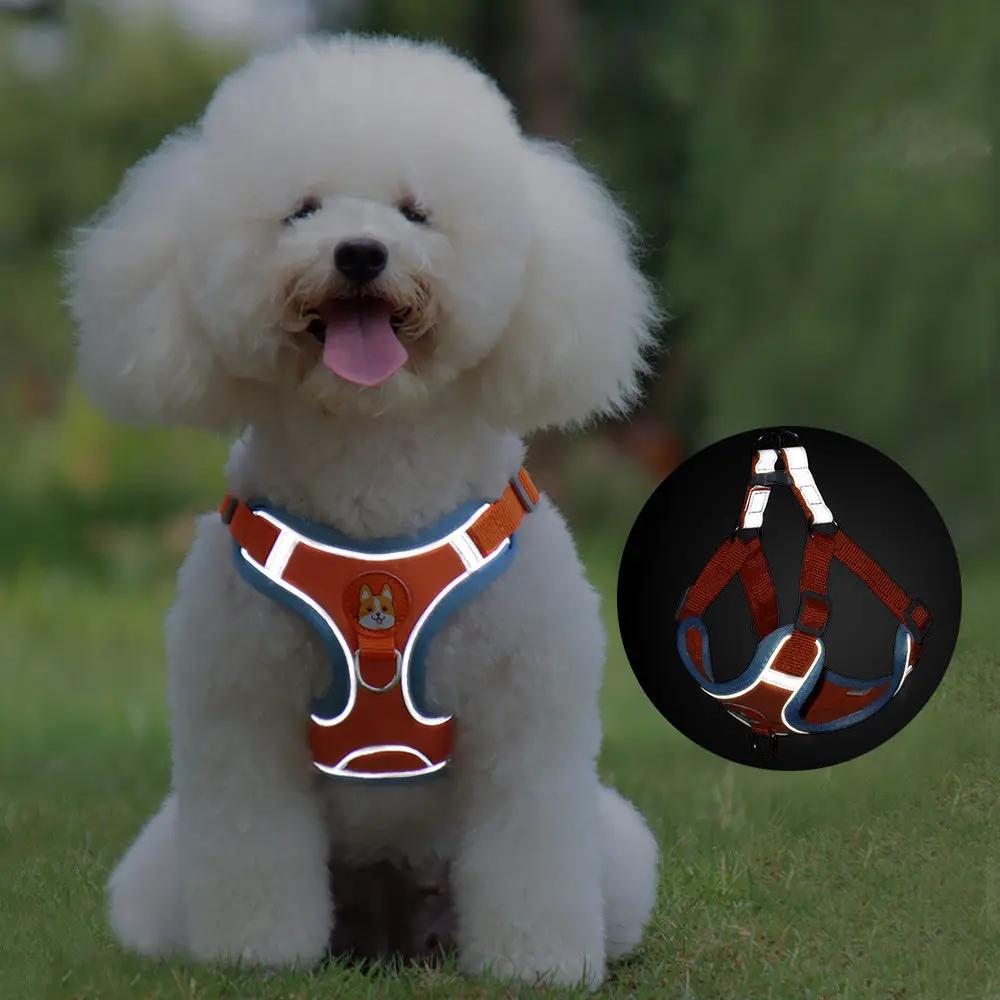 Dog Leash and Harness Set - Adjustable Pet Dog Harness and Leash - AllvueCo