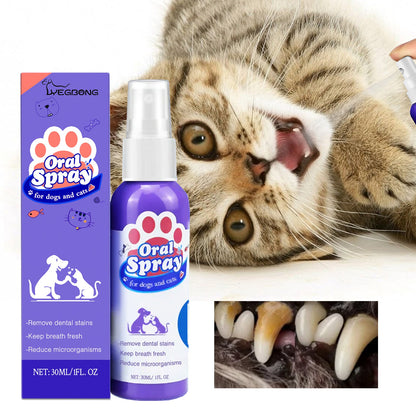 Pet Teeth Cleaning Spray for Cats & Dogs – Fresh Breath, Plaque & Tartar Remover with Easy No-Brush Application - AllvueCo