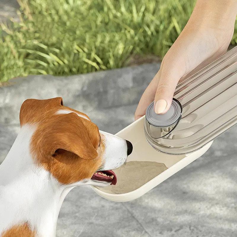 2-in-1 Pet Water Cup - Portable Dog Drinking Cup for Walks - AllvueCo