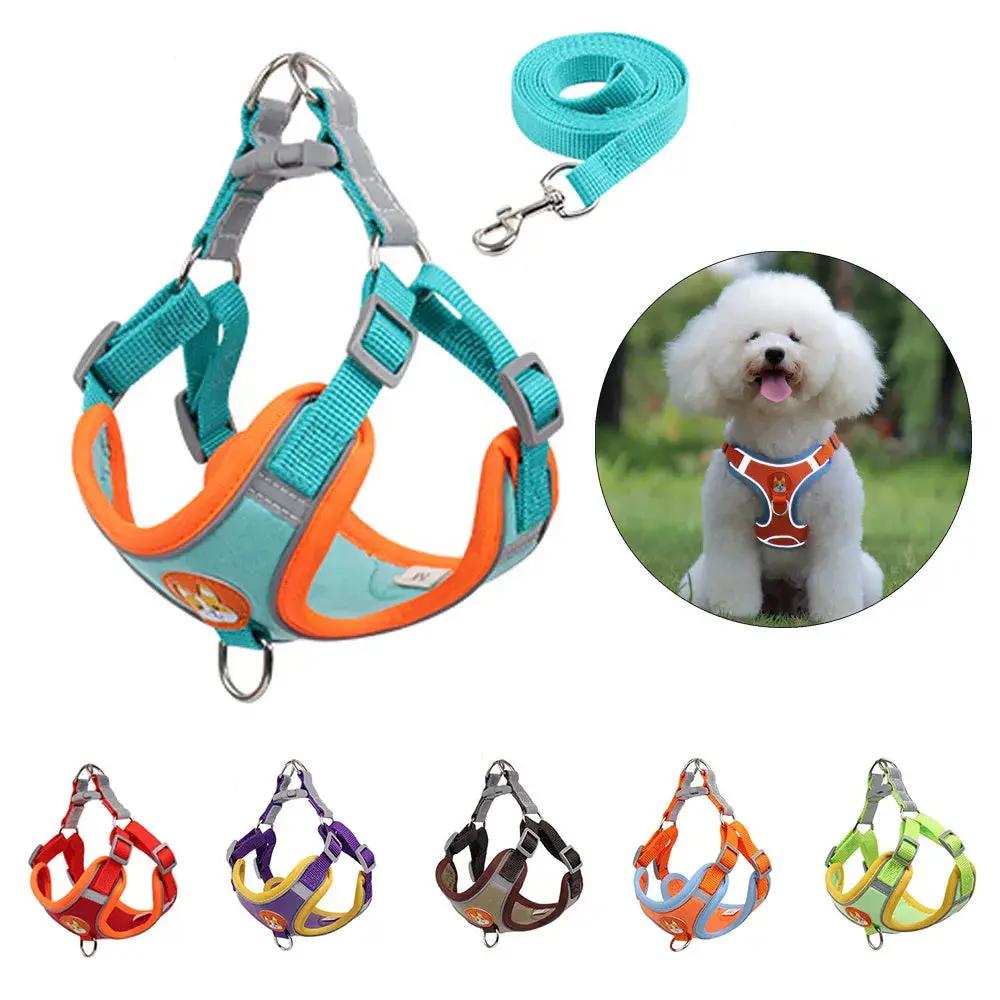 Dog Leash and Harness Set - Adjustable Pet Dog Harness and Leash - AllvueCo