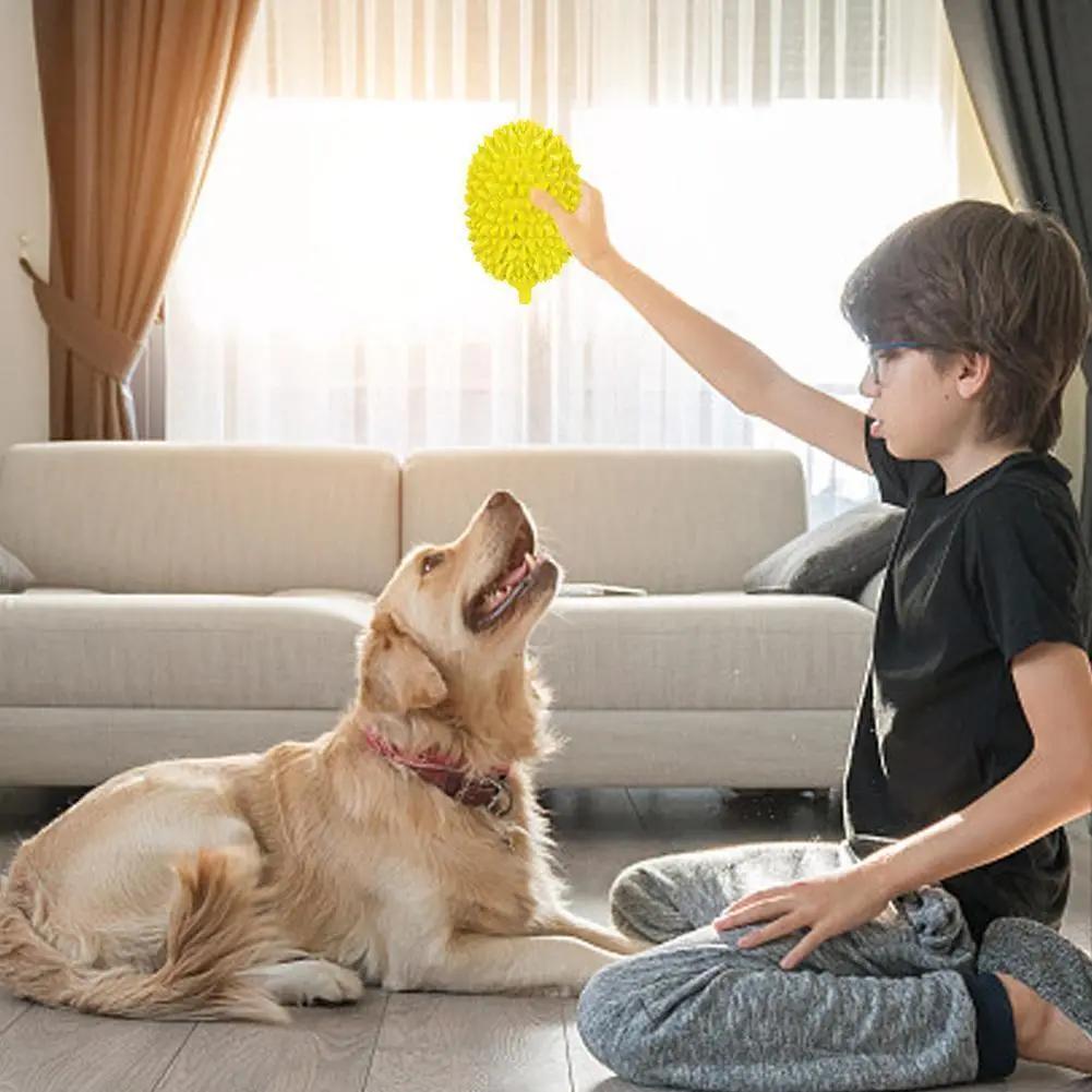 Dog Toy Durian Chew Glue Ball Pet Chewing Toy Dog Tooth Grin | Electronic Learning Toys - AllvueCo