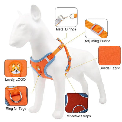 Dog Leash and Harness Set - Adjustable Pet Dog Harness and Leash - AllvueCo