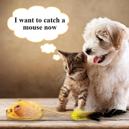 USB Rechargeable Interactive Cat Mouse Toy – LED Lights, Automatic Movement & Chirping Sounds with Feather Tai - AllvueCo