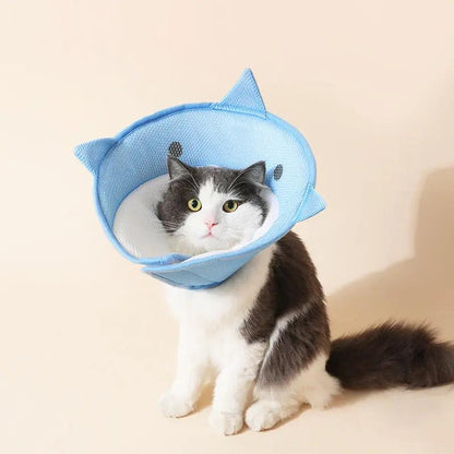 Soft Cat Recovery Collar - Nonwoven Fabric Cat Cone Collar - AllvueCo