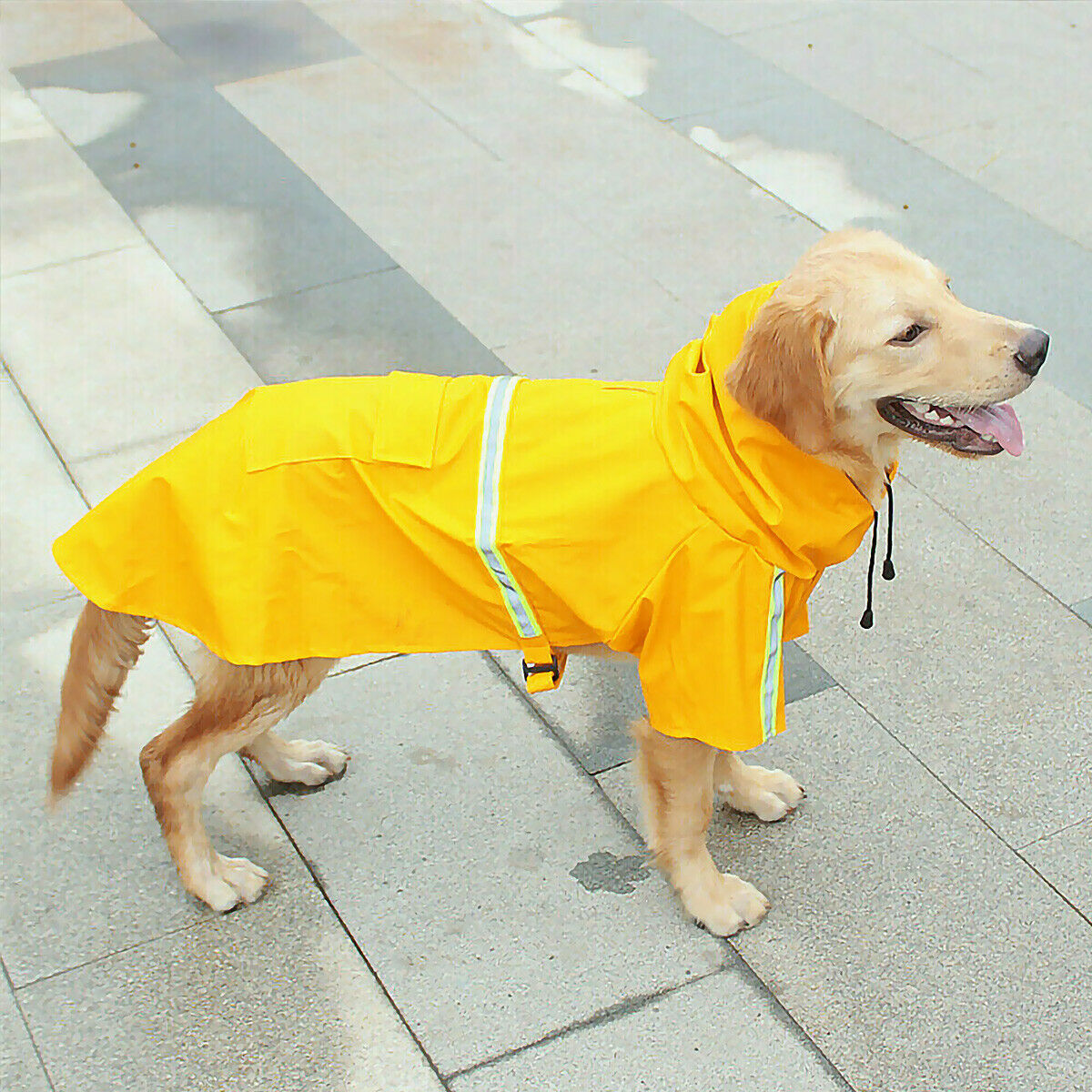 Waterproof Dog Raincoat with Hood – Soft, Breathable Jacket for Small Dogs with Transparent Cap & Belly Protection - AllvueCo