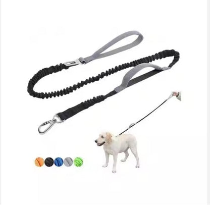 Pet Heavy-Duty Dog Leash with Padded Handles & Car Seat Belt – 4–6 ft - AllvueCo