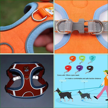 Dog Leash and Harness Set - Adjustable Pet Dog Harness and Leash - AllvueCo