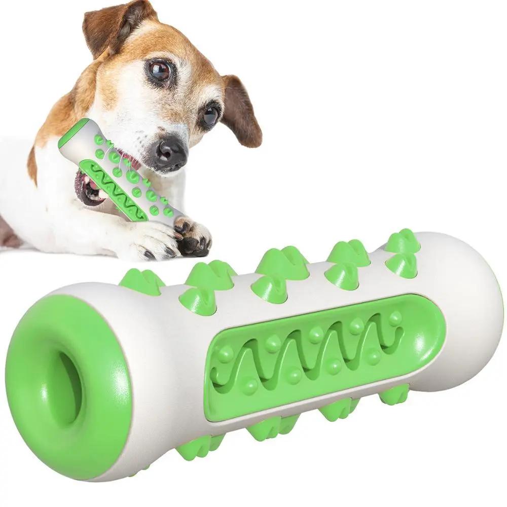 Dog Squeaky Toy For Aggressive Chewers, Tough Toothbrush Dog | Electronic Learning Toys - AllvueCo
