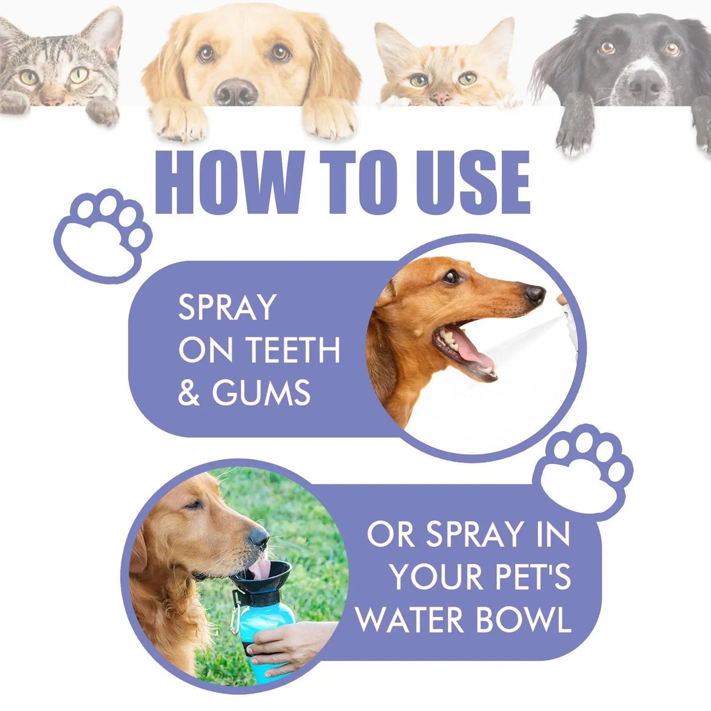 Yegebang Pet Teeth Cleaning Spray – Oral Care & Fresh Breath for Dogs and Cats - AllvueCo