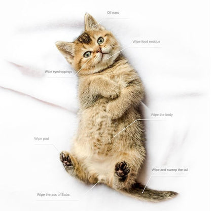 Pet Cleaning & Deodorizing Bathing Wipes for Dogs and Cats – Hypoallergenic & Fragrance-Free - AllvueCo