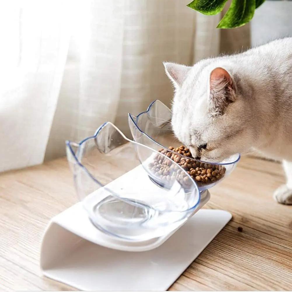 Non Slip Double Cat Bowl with Raised Stand for Pet Feeding - AllvueCo