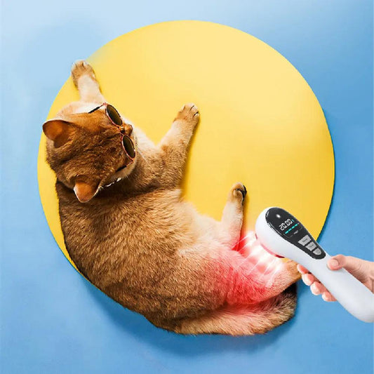 Semiconductor Laser Therapy Instrument - Therapeutic Device - AllvueCo