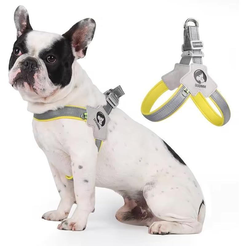 Adjustable Reflective Pet Harness & Leash Set – No-Pull, No-Choke Design for Dogs & Cats with Comfortable Leather Lead - AllvueCo