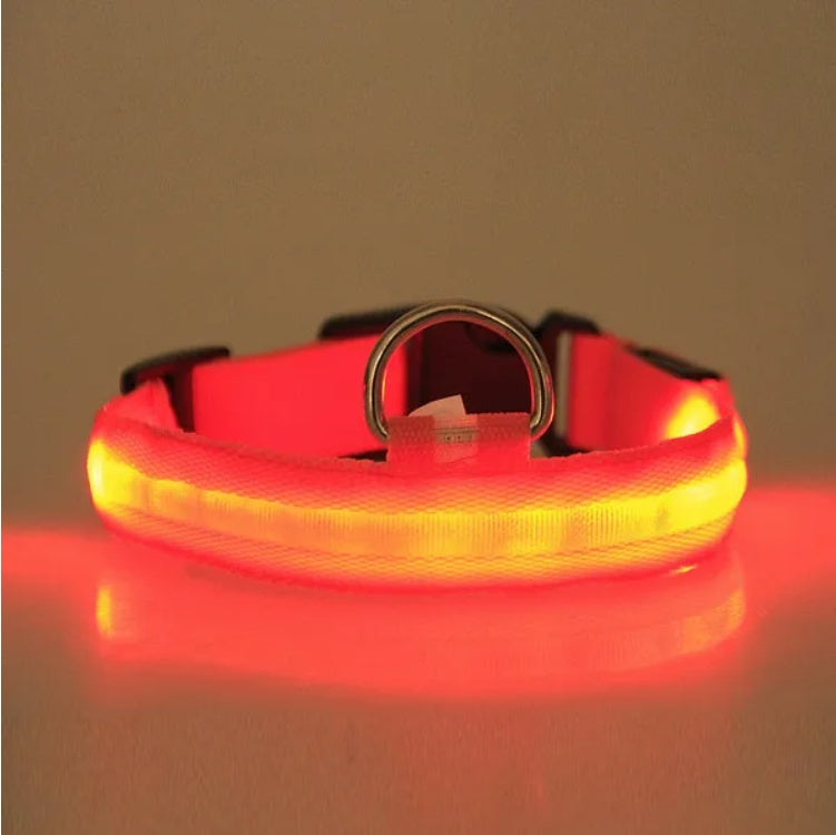 LED Halo-Style Pet Safety Collar – USB Rechargeable Light-Up Neck Ring for Dogs & Cats, Night Visibility Gear - AllvueCo