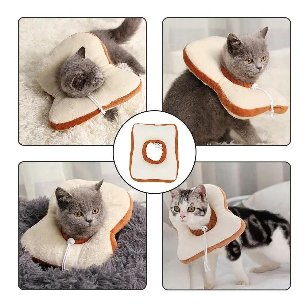 Adjustable Pet Neck Cone Recovery Collar for Cats and Kittens - AllvueCo