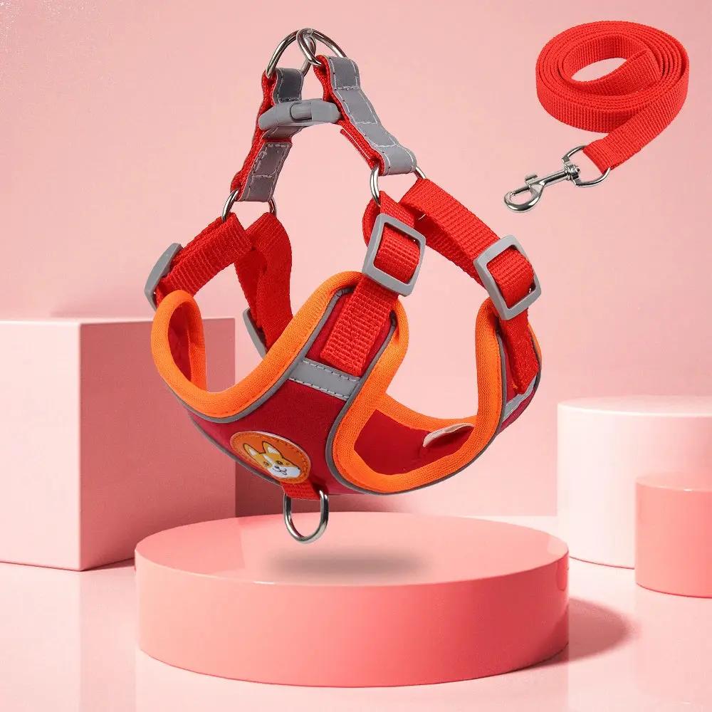 Dog Leash and Harness Set - Adjustable Pet Dog Harness and Leash - AllvueCo