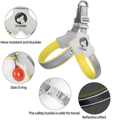 Adjustable Reflective Pet Harness & Leash Set – No-Pull, No-Choke Design for Dogs & Cats with Comfortable Leather Lead - AllvueCo