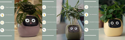 Smart Planter with AI Sensors – Interactive Plant Care with 49+ Expressions & Real-Time Monitoring AllvueCo