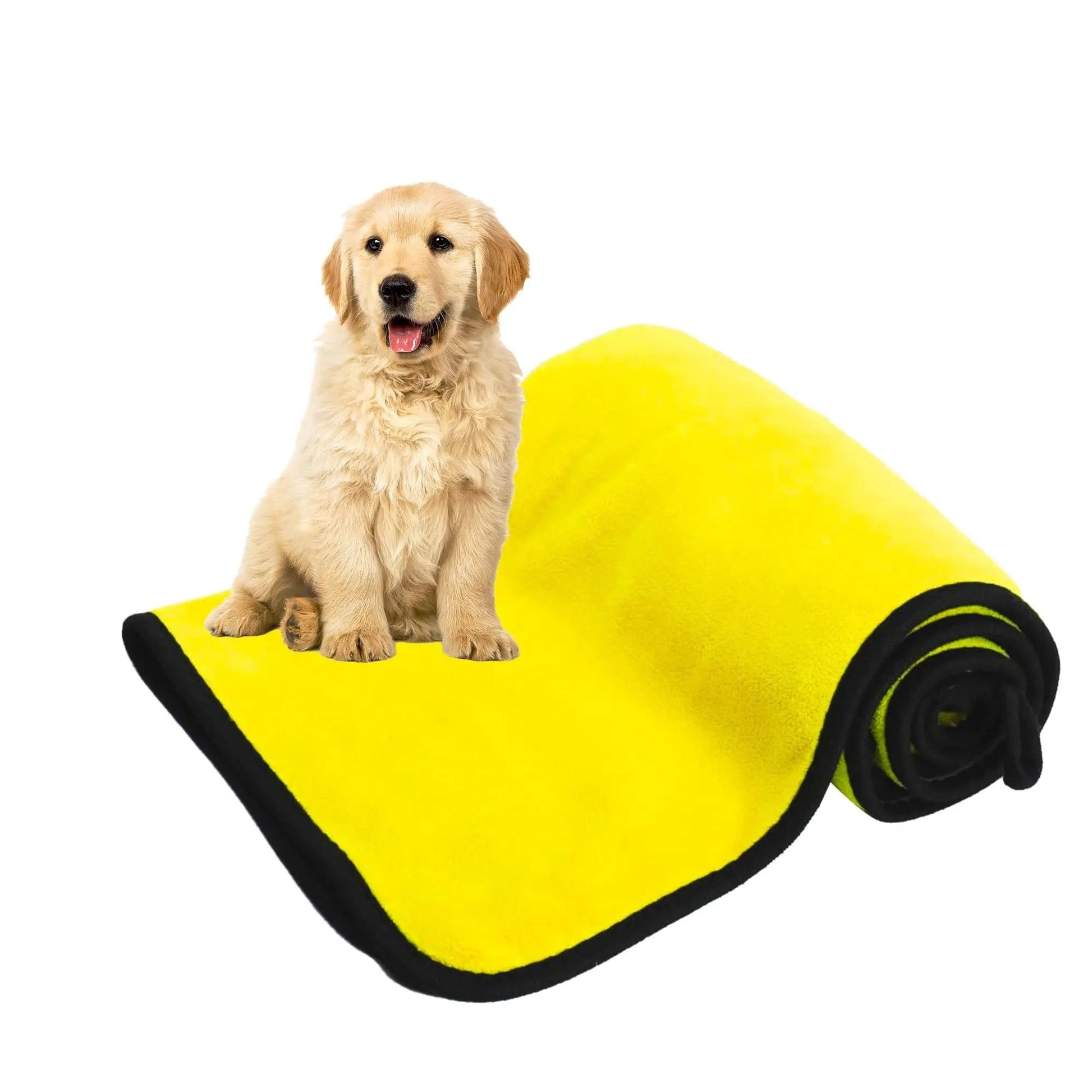 Drying Towels for Dogs - Quick Drying Microfiber Towel - AllvueCo