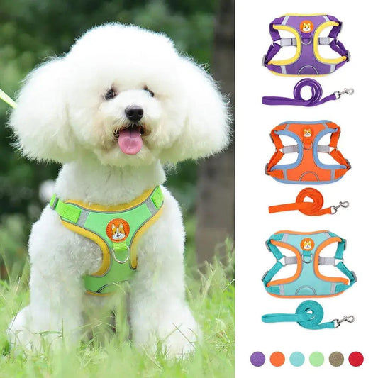 Dog Leash and Harness Set - Adjustable Pet Dog Harness and Leash - AllvueCo