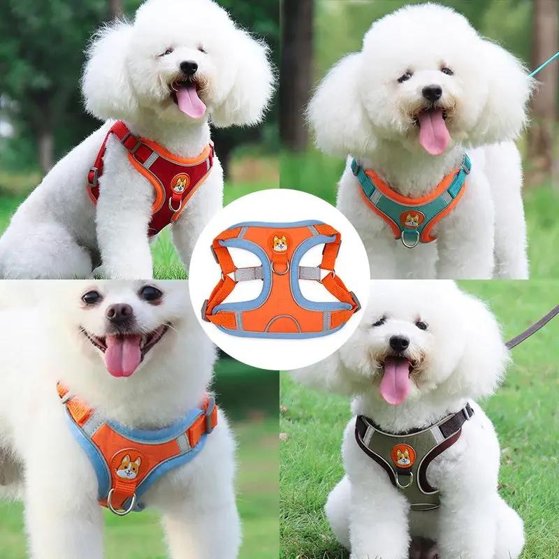 Dog Leash and Harness Set - Adjustable Pet Dog Harness and Leash - AllvueCo