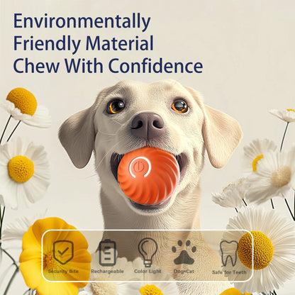 Smart Interactive Bouncing Ball for Dogs – USB Rechargeable, Self-Moving Toy with Rotating Motion & Noise-Reducing Urchin Cover - AllvueCo