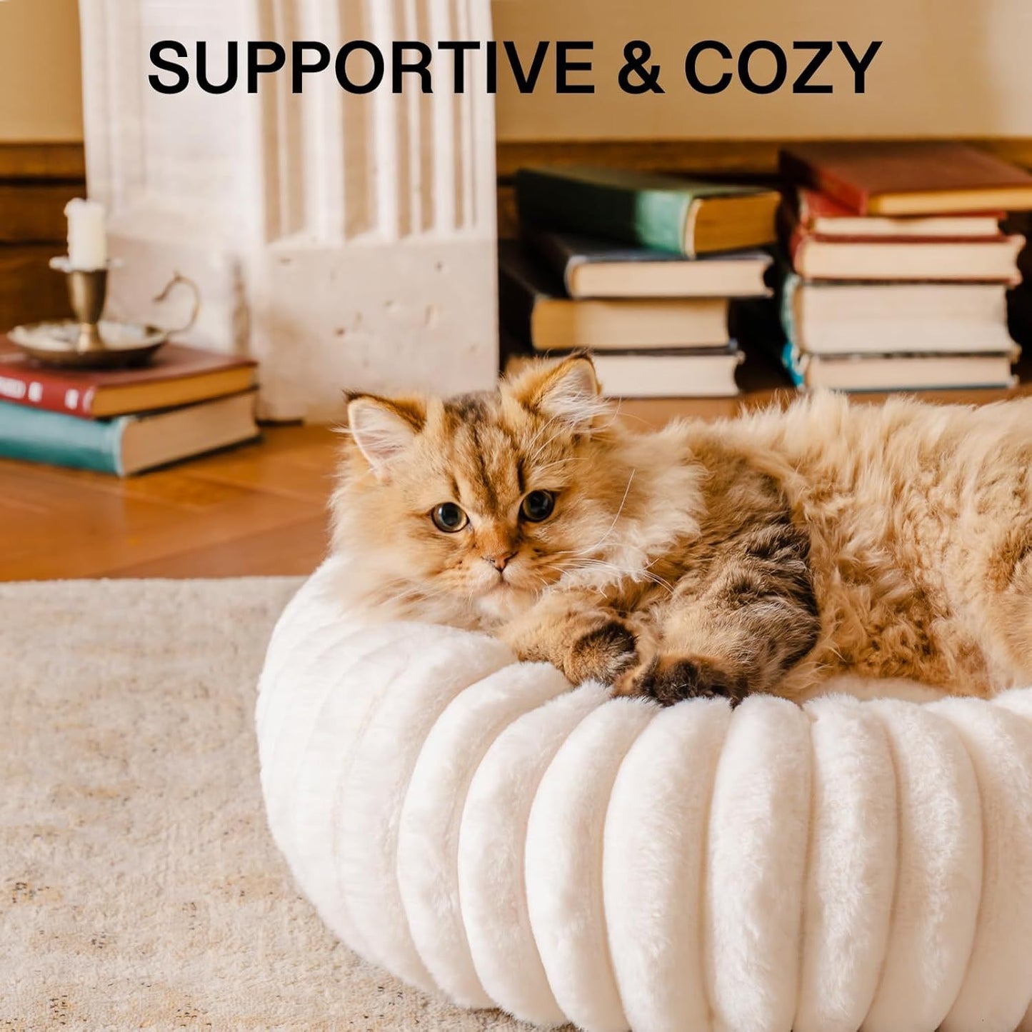 Cozy Donut Cat Bed – Plush Supportive Nest for Small Pets (Up to 25 lbs) - AllvueCo