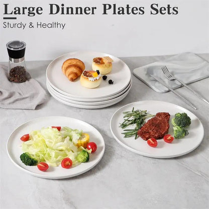 Steak Plate Set of 6 - AllvueCo
