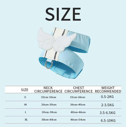 Adjustable Pet Cat Leash Set with Angel Wings Design for Cats - AllvueCo