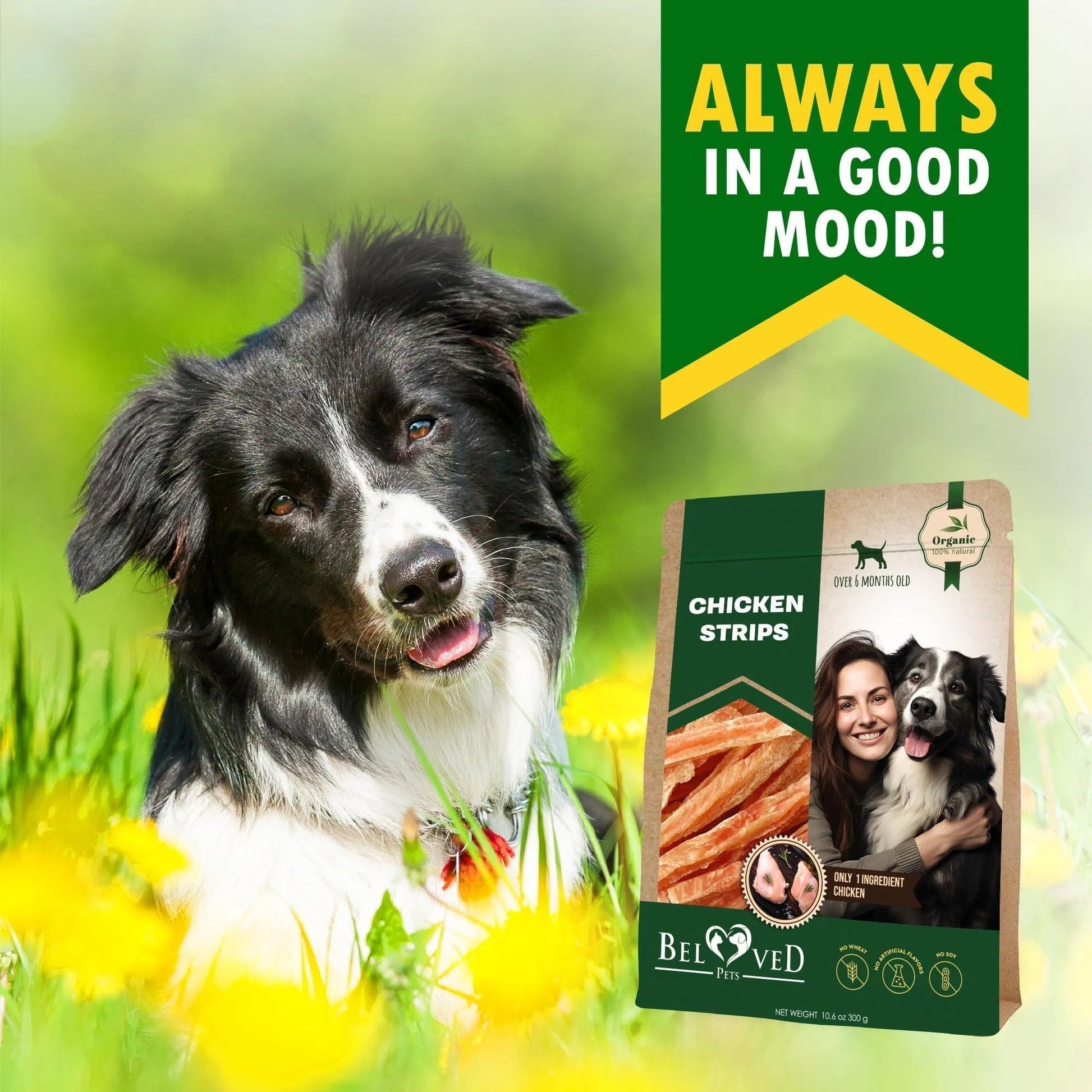 Chicken Strips Dog Treats – Human-Grade, Grain-Free Meat Sticks for Dogs - AllvueCo