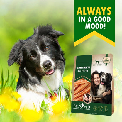 Chicken Strips Dog Treats – Human-Grade, Grain-Free Meat Sticks for Dogs - AllvueCo