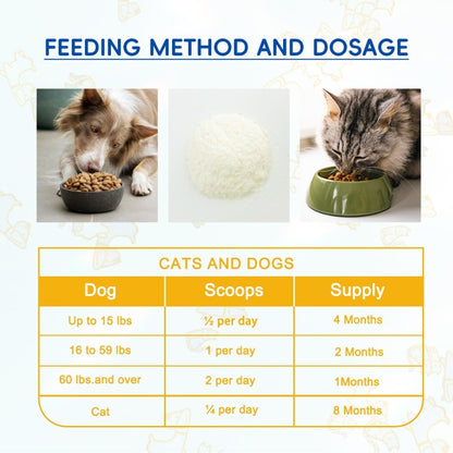 Bark and Meow Probiotics for Dogs & Cats – 7 Tailored Strains with Prebiotics, Pumpkin & Carrot, 5 Billion CFU Scoop, Vet-Approved - AllvueCo
