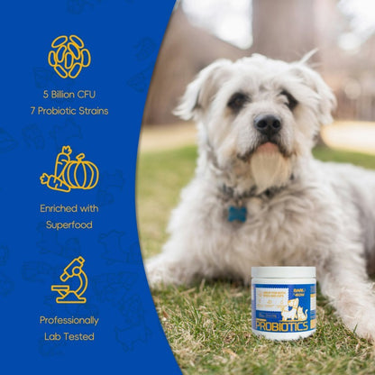 Bark and Meow Probiotics for Dogs & Cats – 7 Tailored Strains with Prebiotics, Pumpkin & Carrot, 5 Billion CFU Scoop, Vet-Approved - AllvueCo
