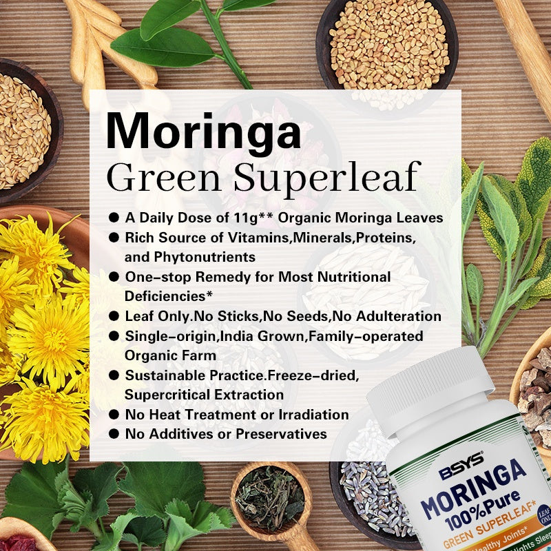 Moringa Capsules – Antioxidant & Anti-Inflammatory Supplement for Overall Health (60 Capsules) - AllvueCo