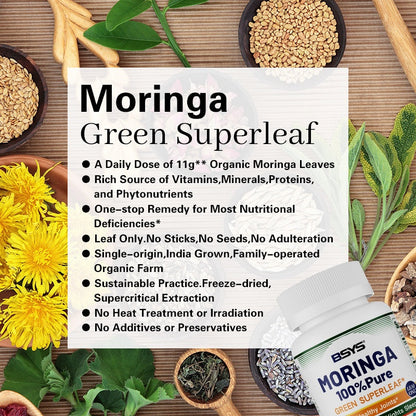 Moringa Capsules – Antioxidant & Anti-Inflammatory Supplement for Overall Health (60 Capsules) - AllvueCo