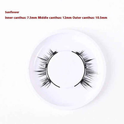 Magnetic False Eyelashes - Glue-free Collection for a Natural Look