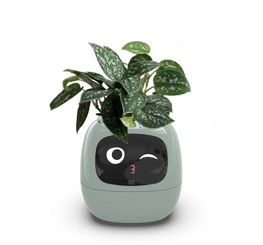 Smart Planter with AI Sensors – Interactive Plant Care with 49+ Expressions & Real-Time Monitoring AllvueCo