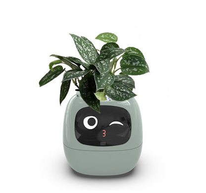 Smart Planter with AI Sensors – Interactive Plant Care with 49+ Expressions & Real-Time Monitoring AllvueCo