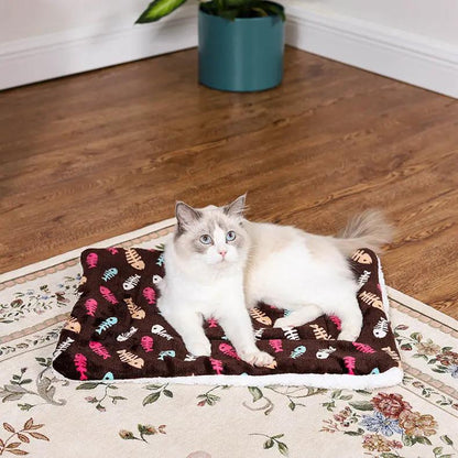 Pet Cartoon Thick Winter Warm Blanket - Cozy Pet Blanket for All Seasons - AllvueCo