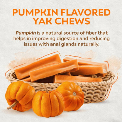 Pumpkin Yak Chews